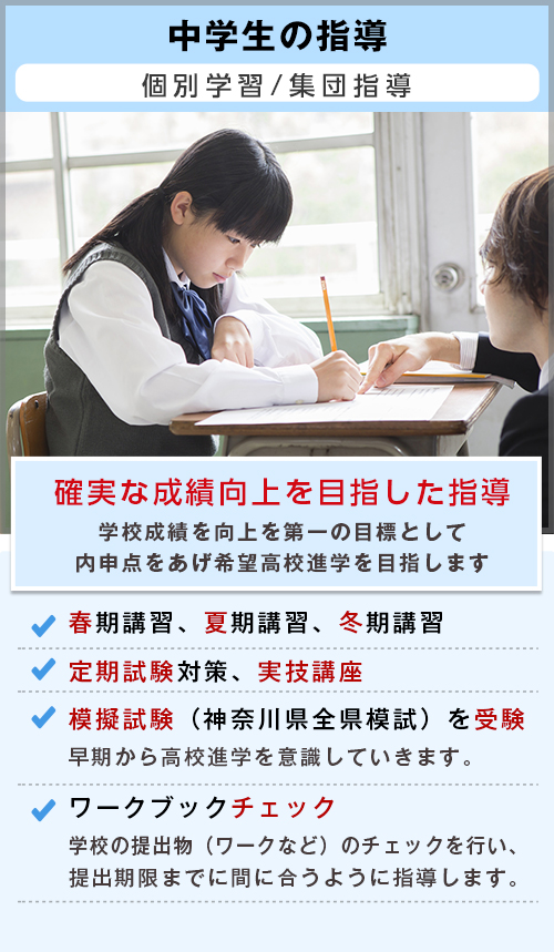 自立型個別学習の成績Apシステム|T中学生の指導